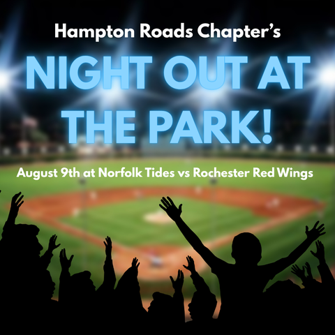 Hampton Roads Baseball Game